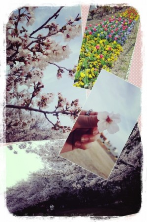 2014-04-01-18-09-49_deco