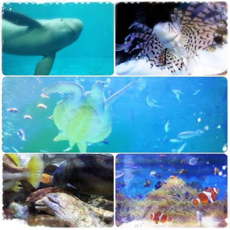 2014-05-07-11-33-56_deco