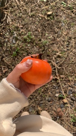 31F86F18-69DD-4443-9B2B-B7F9B482E34F