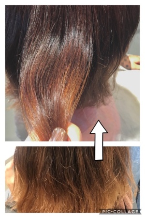 8D5754E8-8945-453A-9A00-29A30CCB844B