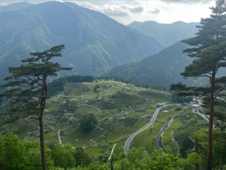 A0505694-20AB-476C-877B-57ED9872379E