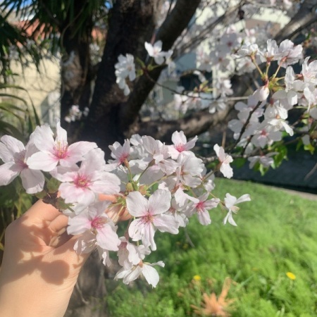 B44F2858-BA32-4DEE-AA84-102CCE19BD28