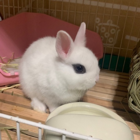 B86BFC9B-F868-48AA-AACB-F554F7073E68