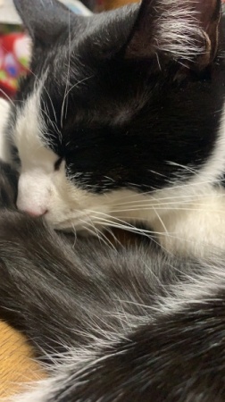 C134473F-5657-4BD8-8BEC-257350FE583E