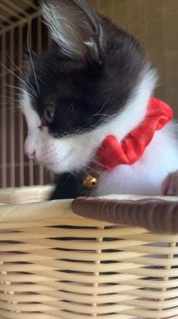 E76B48C9-010B-4979-8CAC-86FB679209C9