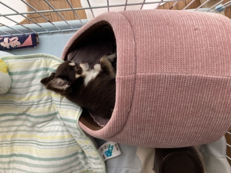 FB0BD304-0531-404F-9F26-34B38FEAA9D3