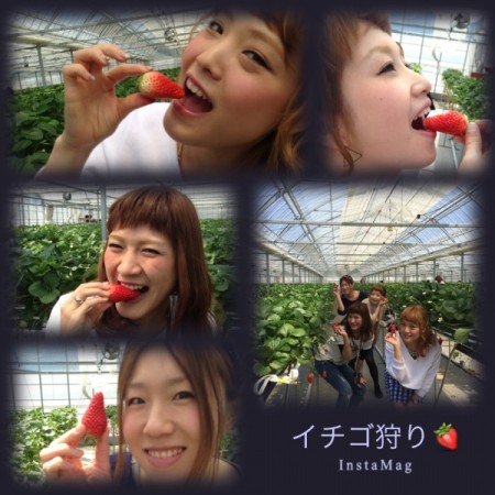 写真 のコピー 2